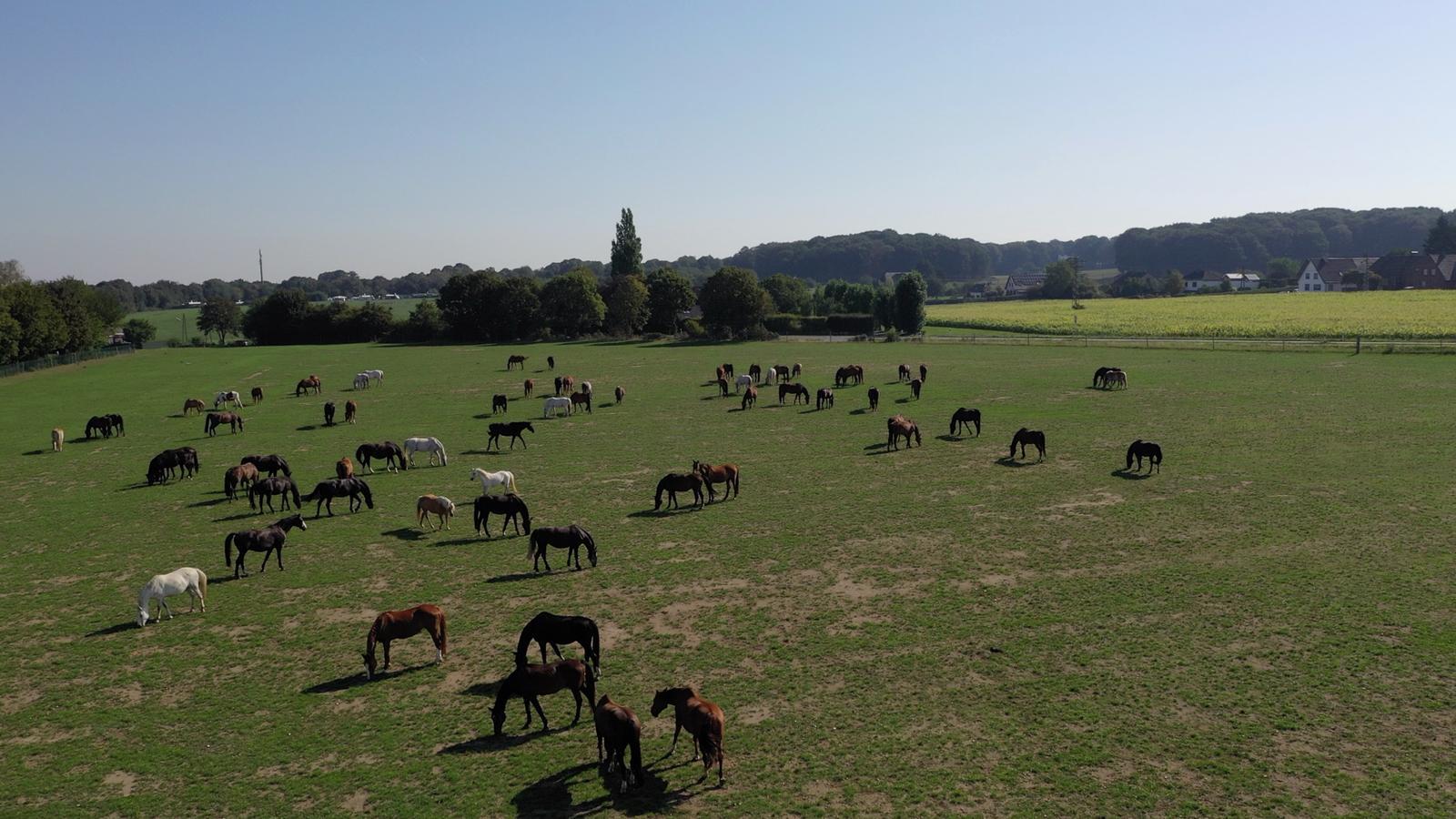 NRW / Nordrhein-Westfalen